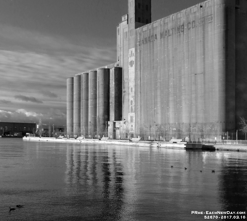 52670PeCrBwLe - Walking lower Toronto after taking Beth - Julia to Billy Bishop